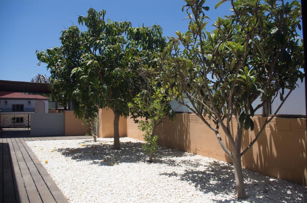 Villa La Marosca - Jacuzzi, Private Pool, 3 Bedrooms Caleta De Fuste Esterno foto